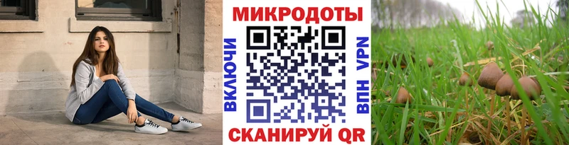 Купить где  Макарьев  Галлюциногенные грибы GOLDEN TEACHER 