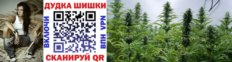 Купить закладки  Макарьев  Шишки марихуана Amnesia 